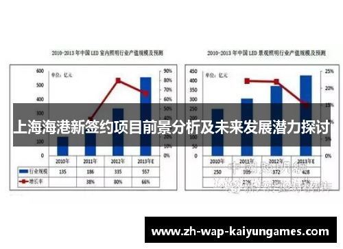 上海海港新签约项目前景分析及未来发展潜力探讨