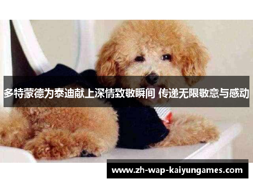 多特蒙德为泰迪献上深情致敬瞬间 传递无限敬意与感动