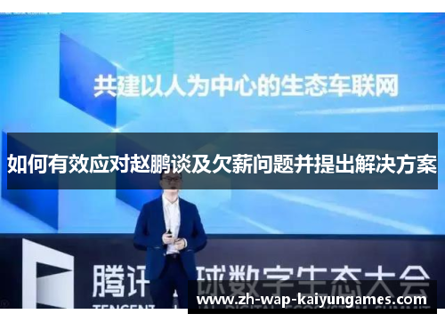 如何有效应对赵鹏谈及欠薪问题并提出解决方案