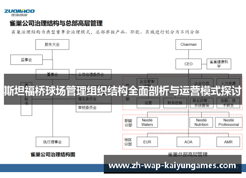 斯坦福桥球场管理组织结构全面剖析与运营模式探讨