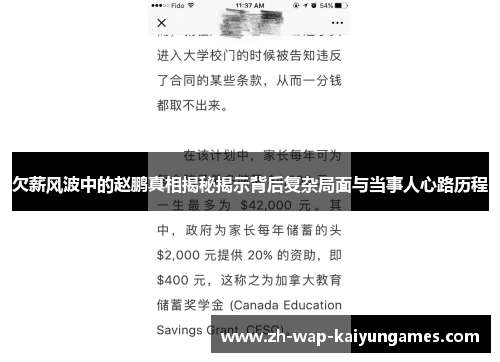 欠薪风波中的赵鹏真相揭秘揭示背后复杂局面与当事人心路历程