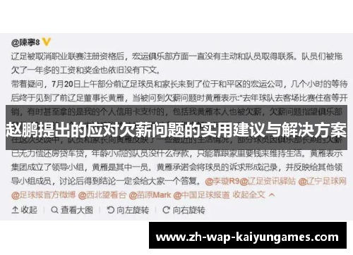 赵鹏提出的应对欠薪问题的实用建议与解决方案 赵鹏提出的应对欠薪问题的实用建议与解决方案