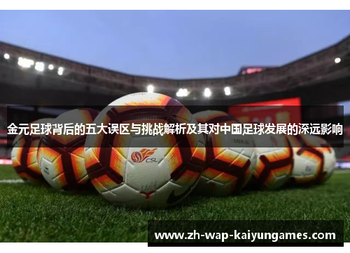 金元足球背后的五大误区与挑战解析及其对中国足球发展的深远影响 金元足球背后的五大误区与挑战解析及其对中国足球发展的深远影响