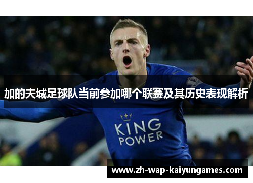 加的夫城足球队当前参加哪个联赛及其历史表现解析 加的夫城足球队当前参加哪个联赛及其历史表现解析