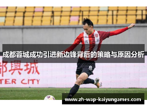 成都蓉城成功引进新边锋背后的策略与原因分析 成都蓉城成功引进新边锋背后的策略与原因分析