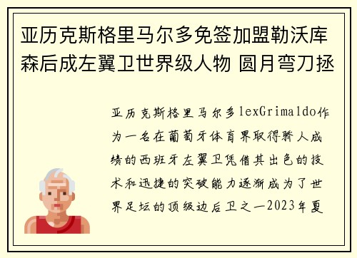 亚历克斯格里马尔多免签加盟勒沃库森后成左翼卫世界级人物 圆月弯刀拯救球队