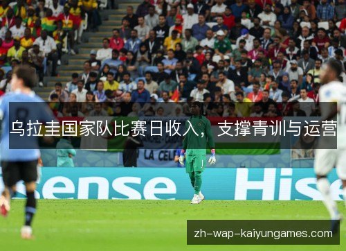 乌拉圭国家队比赛日收入，支撑青训与运营